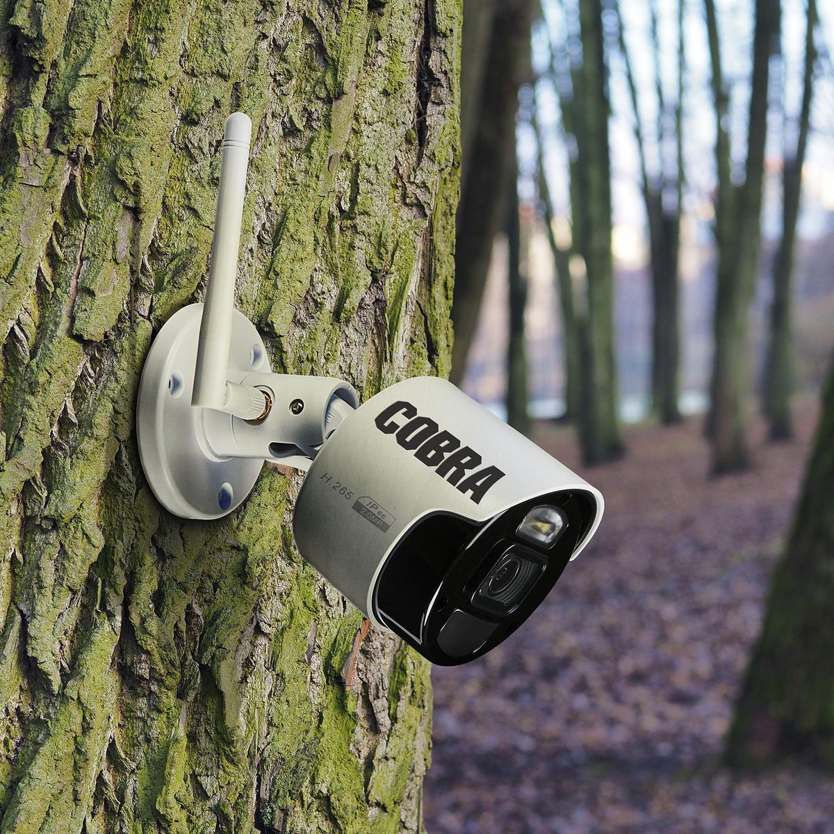 1080p, HD, 1TB Wireless Camera System - COBRA