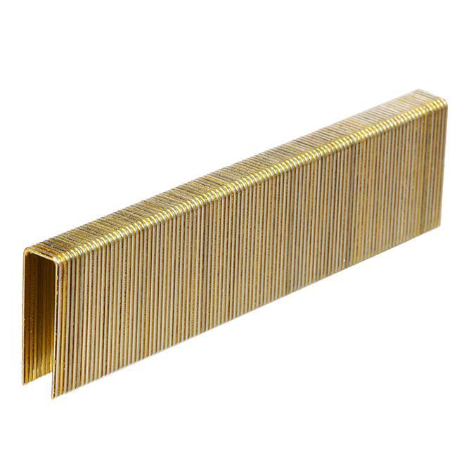 Agrafes de finition, galvanisé, 1 1/4'', boîte de 1000 FORESTO - sosoutils